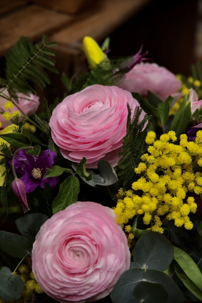 Douceur et couleurs photo 5